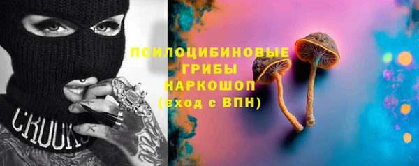 гашик Горнозаводск