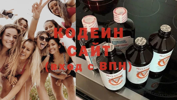гашик Горнозаводск