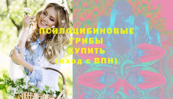 гашик Горнозаводск