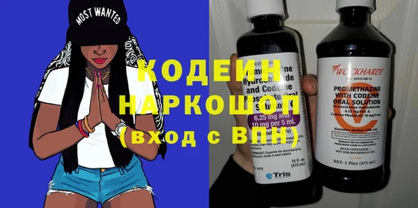 шишки Шарыпово
