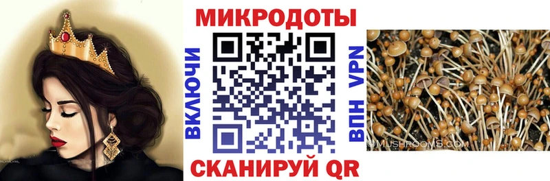 mega онион  Нея  Псилоцибиновые грибы ЛСД 